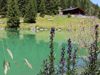 TVBOsttirol klapfsee dorfertal